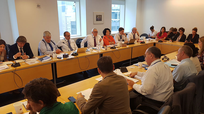 Sustainable Development Goals: local and regional authorities represented in PLATFORMA at the United Nations