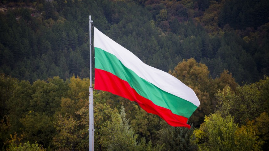 The Congress carried out remote monitoring of the application of the European Charter of Local Self-Government in Bulgaria