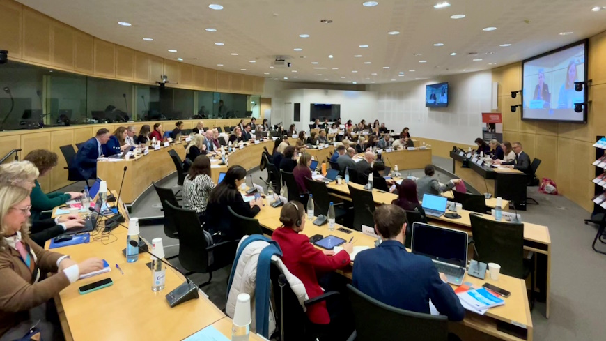 Declaration made at the 19th meeting of the Committee of the Parties