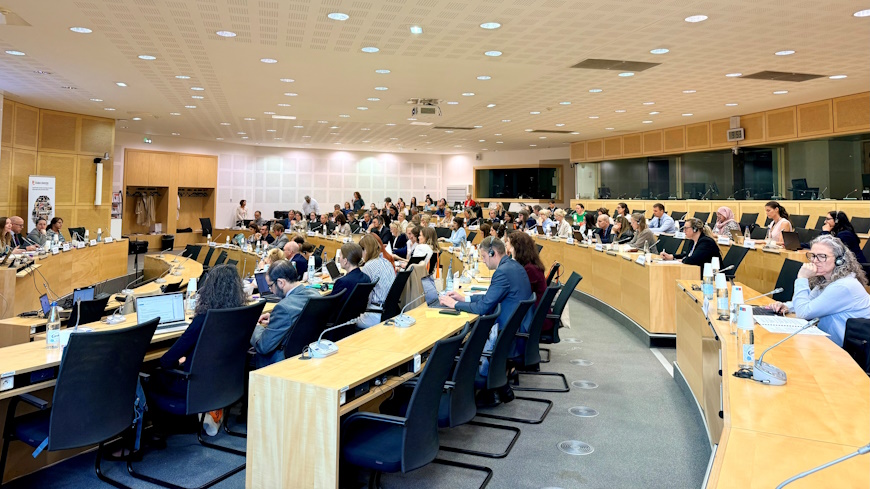 The Committee of the Parties to the Istanbul Convention held its 20th meeting