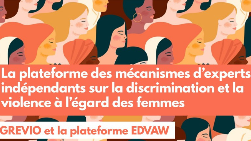30 ans de la Plateforme d'action de Pékin : contributions de la Plateforme EDVAW