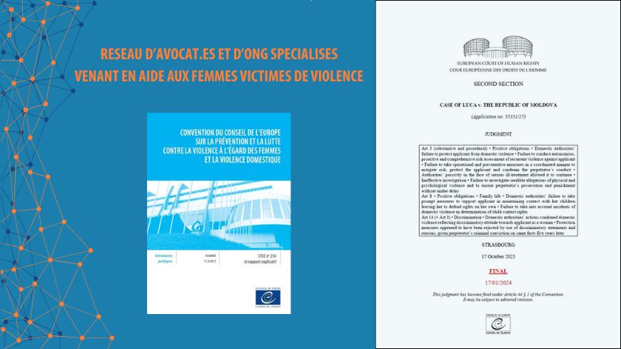 Premier webinaire du Réseau des avocat·es et d'ONG spécialisés assistant les femmes victimes de violence