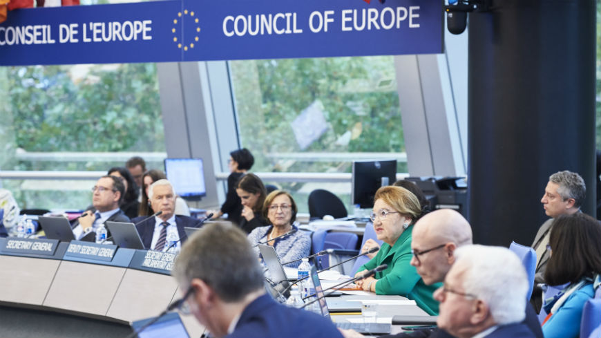 Echange de vues entre la Présidente du GREVIO et le Comité des Ministres du Conseil de l'Europe