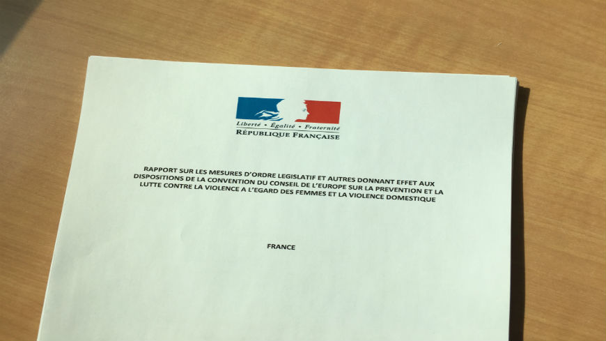 Le GREVIO reçoit le rapport étatique présenté par la France