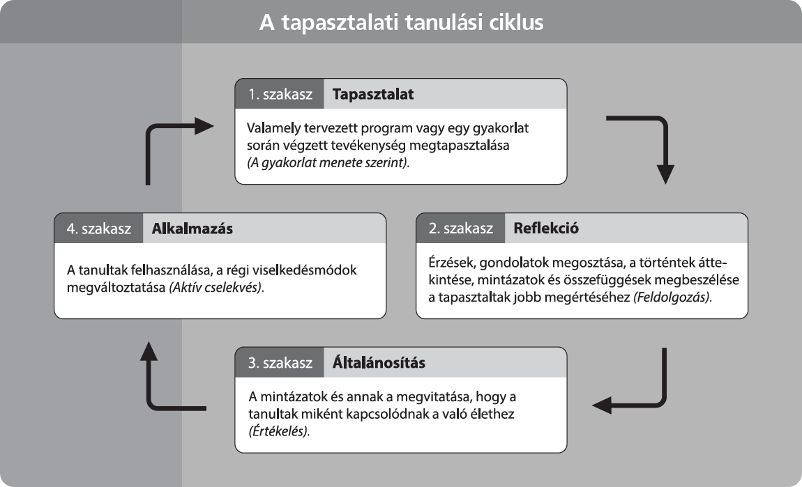 Image: The cycle of experimental learning