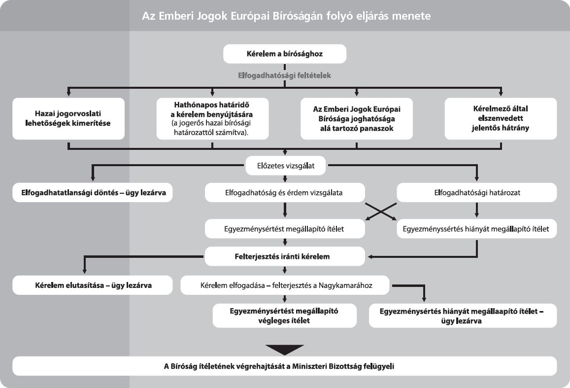 Image: Proceedings before the European Court of Human Rights
