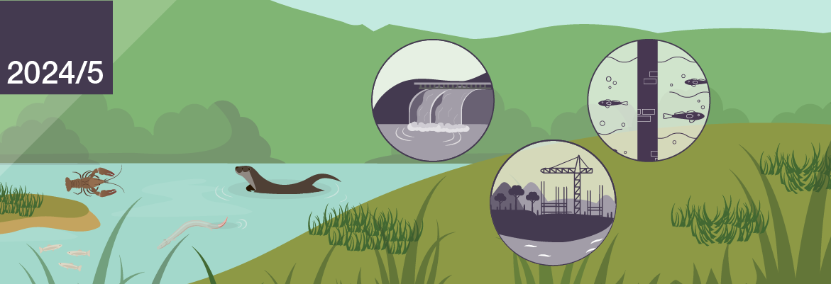 Menace alléguée pour l'habitat et les espèces protégées du projet hydroélectrique « Upper Horizons »