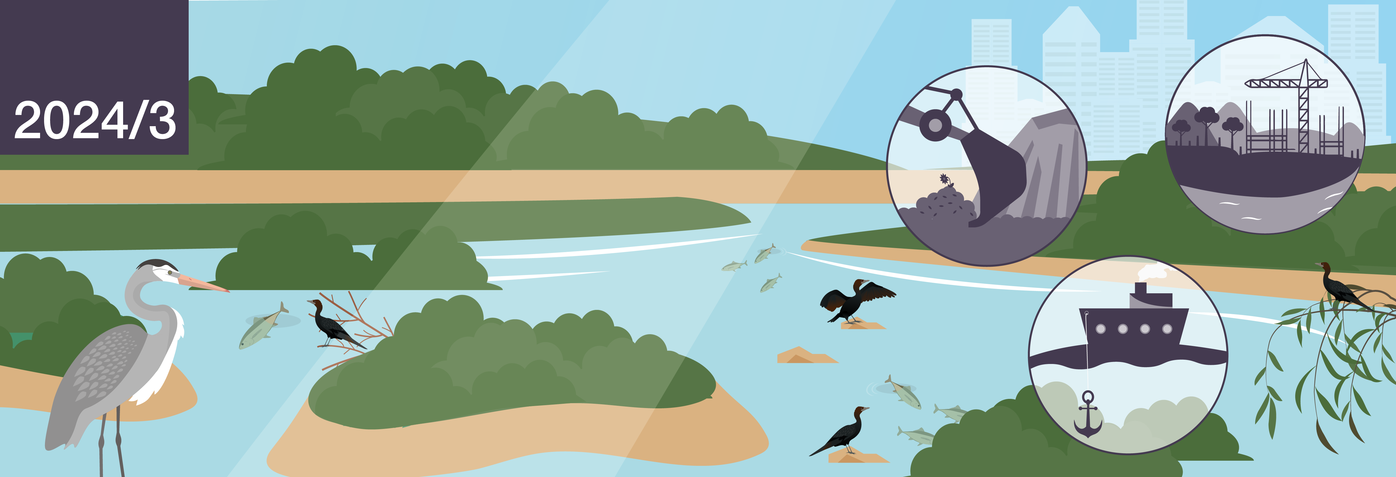 Destruction alléguée de l'habitat du petit cormoran Microcarbo pygmeus sur la rivière Sava à Belgrade