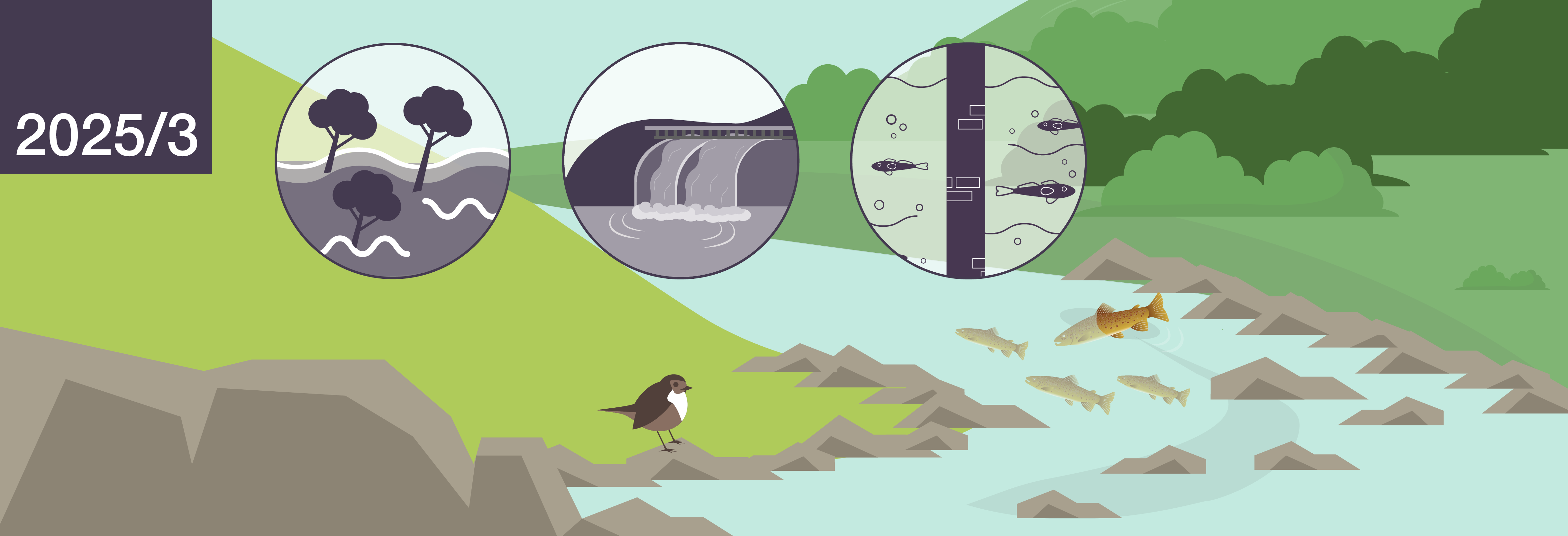 Destruction alléguée des habitats aquatiques et des poissons dans le site du Réseau Émeraude - Skhidnyi Svydovets - UA0000259 en raison de la construction de centrales hydroélectriques dans le bassin de la rivière Teresva