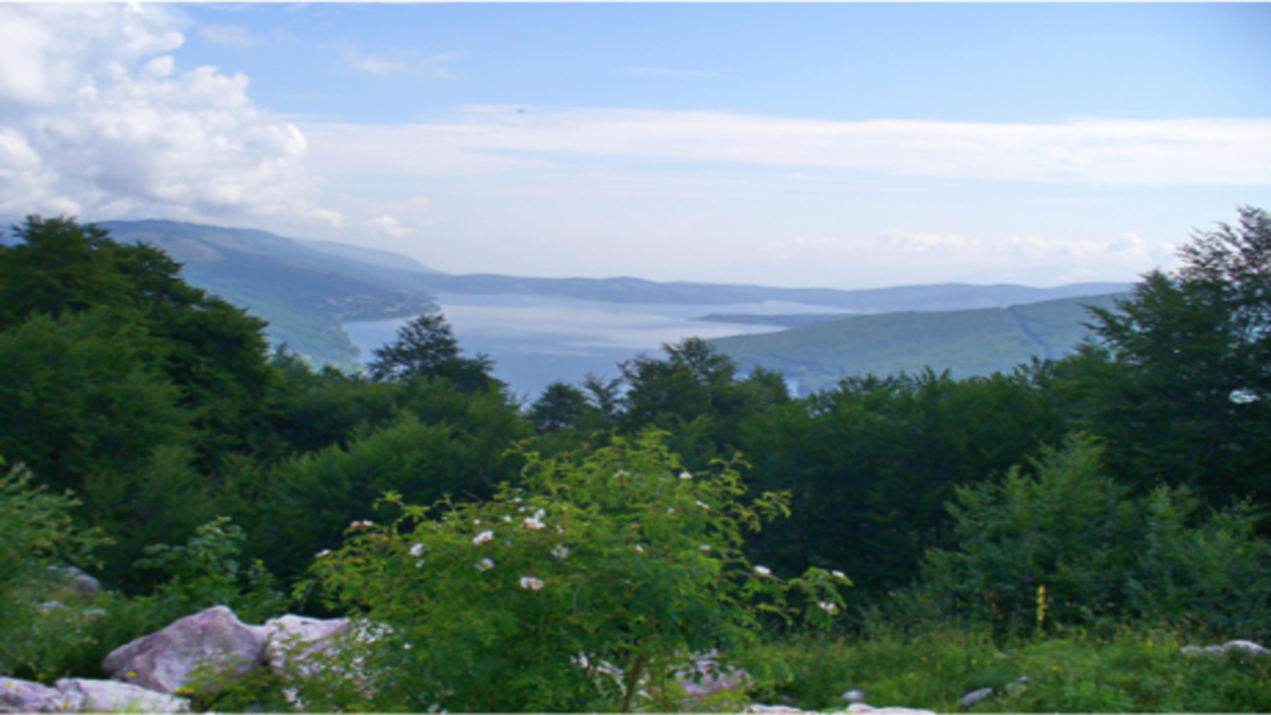 Mavrovo National Park