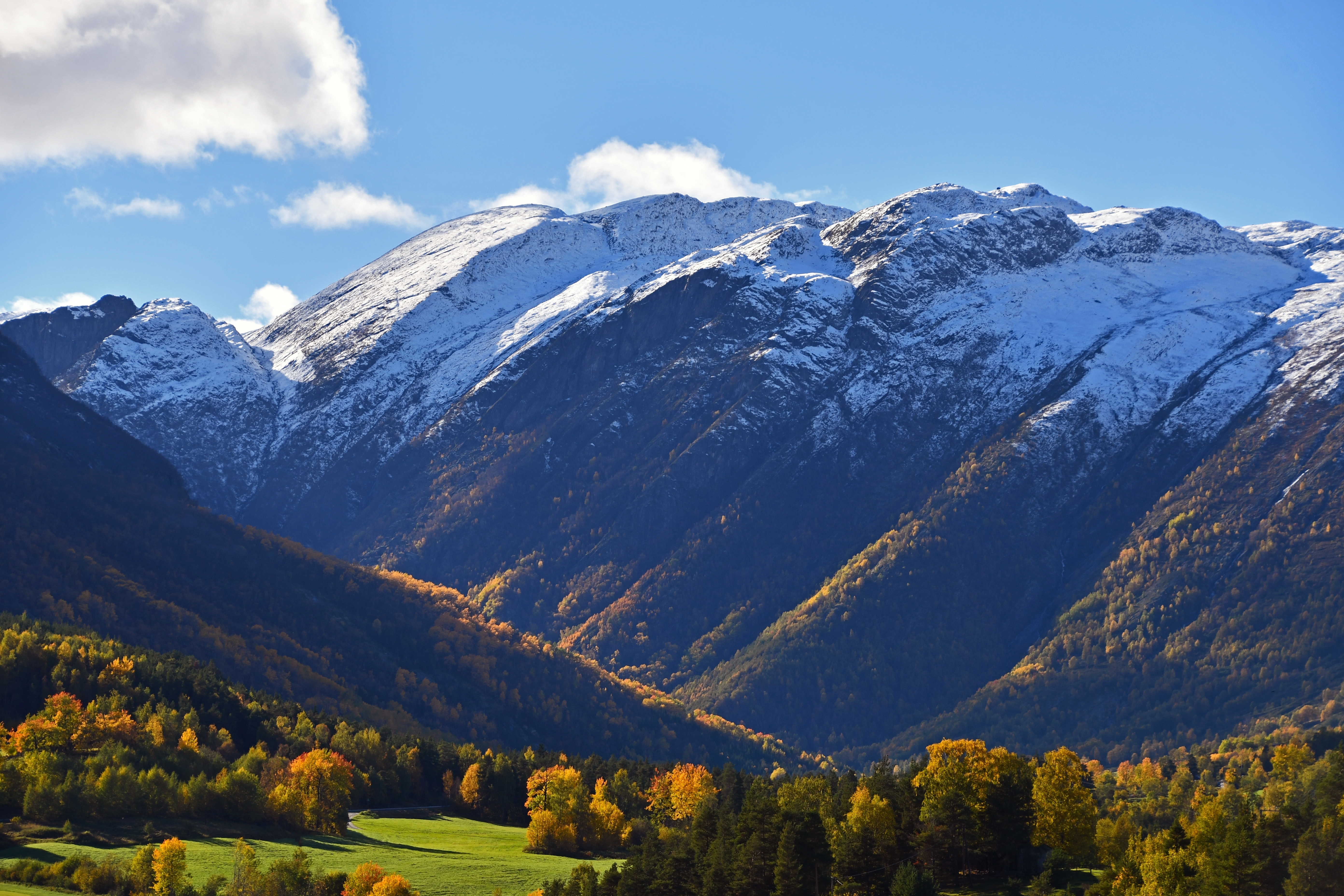 Photo credit: Shutterstock