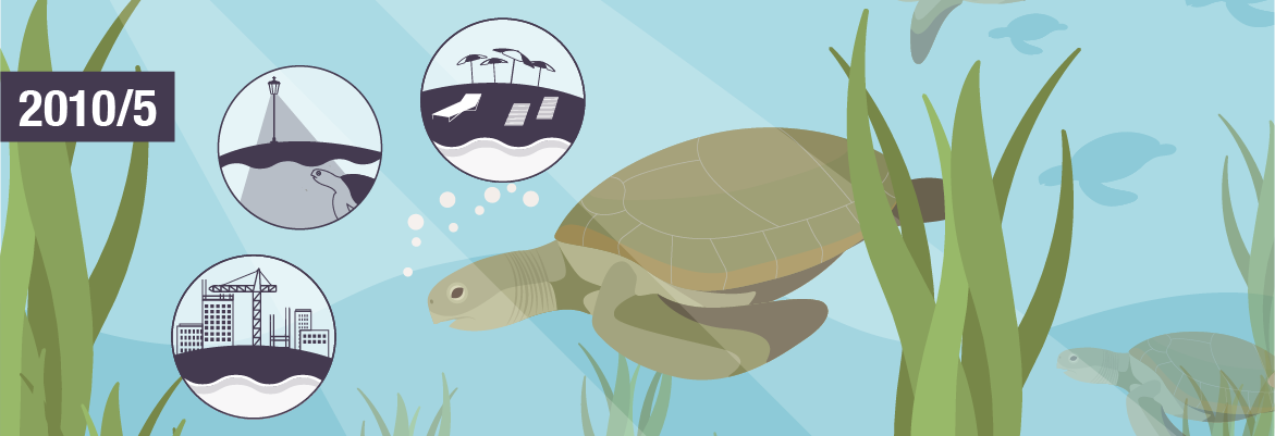 Menaces pour les tortues marines à Thines Kiparissias
