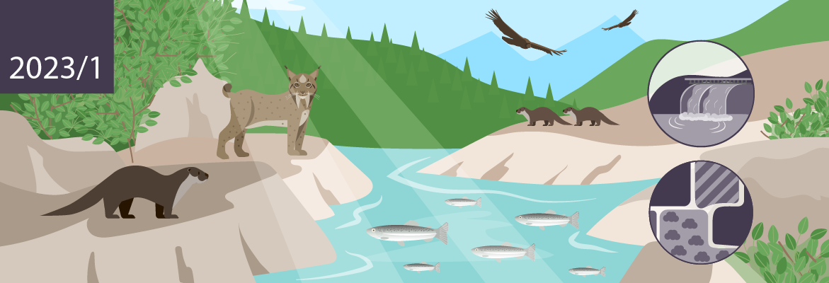 Alleged habitat destruction due to the construction of the Skavica Hydropower Plant on the Drin River