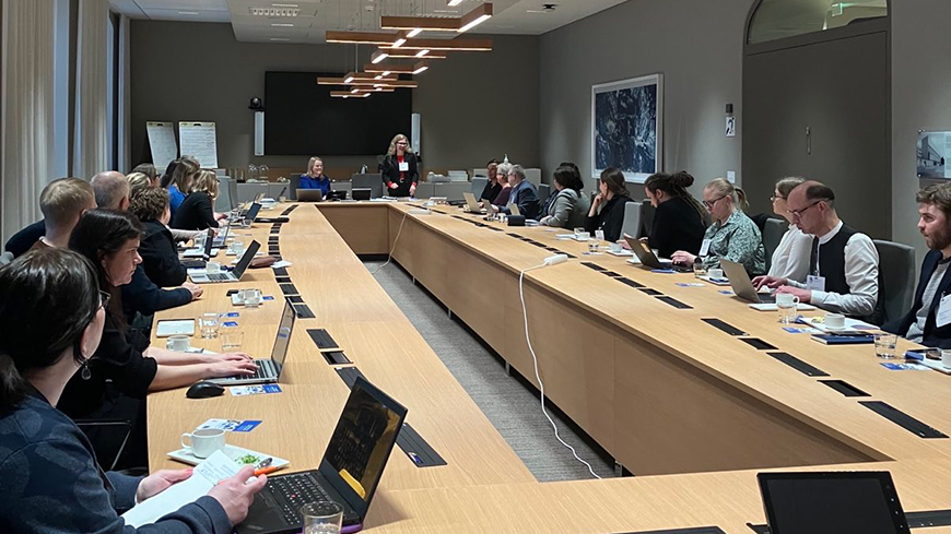 Finnish civil society deepens its understanding of the Council of Europe