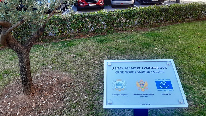 Montenegro tree planting symbolises cultivation of Council of Europe standards and values