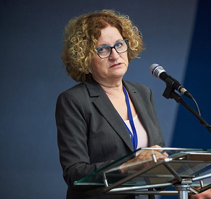 Vesna Crnić-Grotić