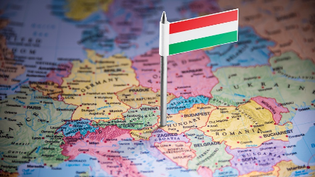 Consultations en ligne sur l'exécution des arrêts de la Cour européenne concernant la Hongrie