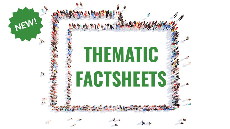 Execution department launches new series of thematic factsheets