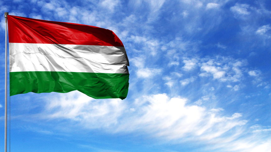 Execution by Hungary of ECHR judgments