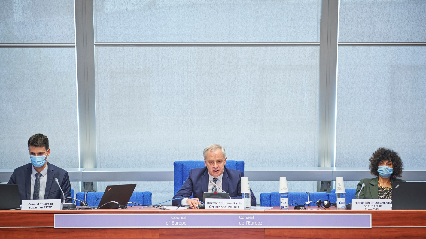 NPMs’ role in the implementation of ECHR judgments and CPT recommendations on police ill-treatment and ineffective investigations