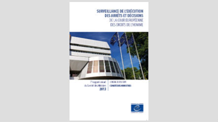 Rapport annuel 2013