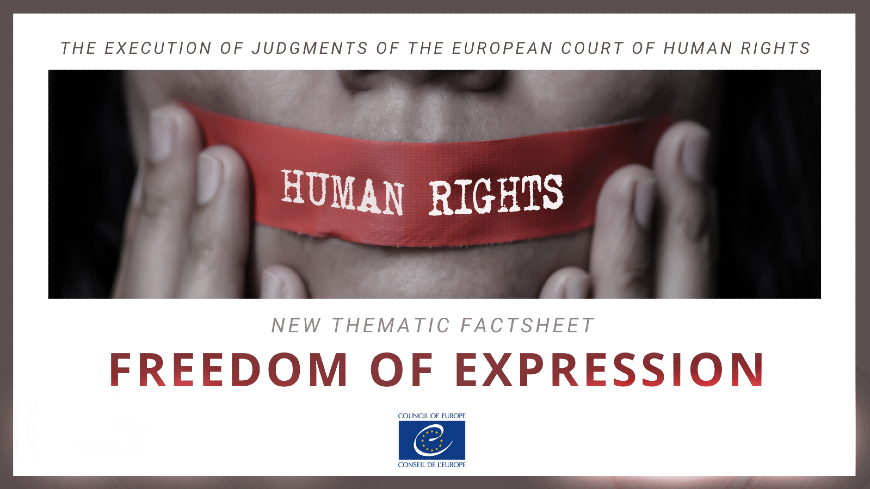 New thematic factsheet - execution of ECHR judgments concerning freedom of expression