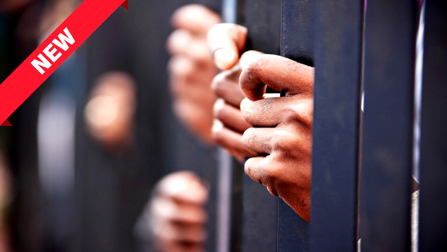 New factsheet on execution of ECHR judgments concerning life imprisonment