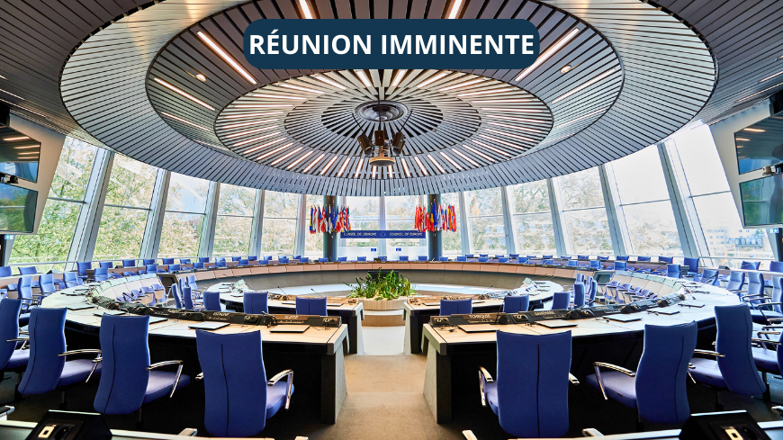 Mise en œuvre des arrêts de la Cour européenne des droits de l’homme : 1569e réunion du Comité des Ministres