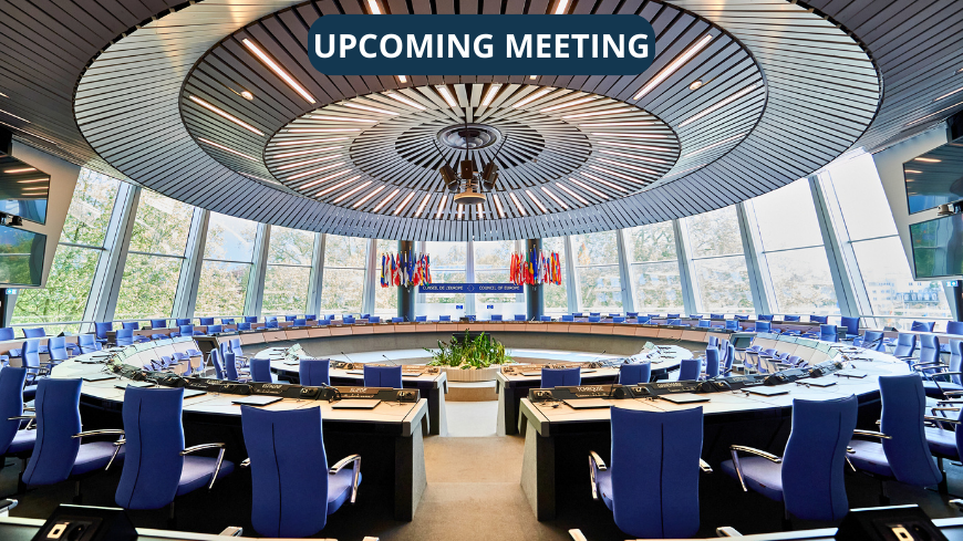 Implementing European Court of Human Rights judgments: 1569th meeting of the Committee of Ministers