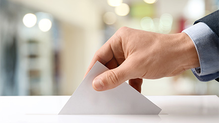The Elections and Participatory Democracy Division