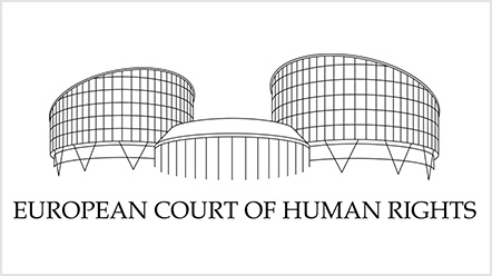 La Cour européenne des droits de l'homme