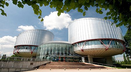 The Department for the Execution of Judgments of the European Court of Human Rights