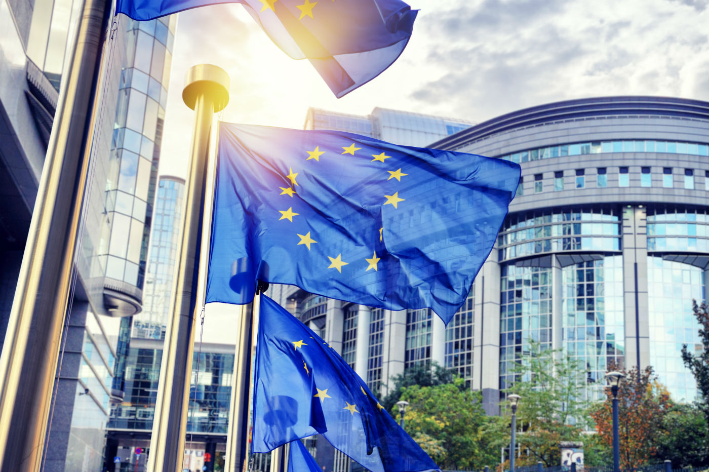 HELP presented at the European Parliament