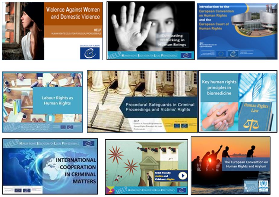 Council of Europe: pioneer in online legal training on human rights ...
