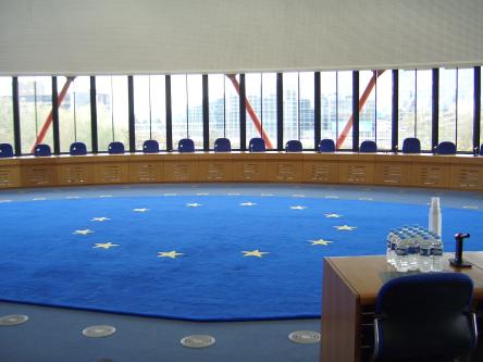 Семь причин для обращения адвоката в Европейский суд