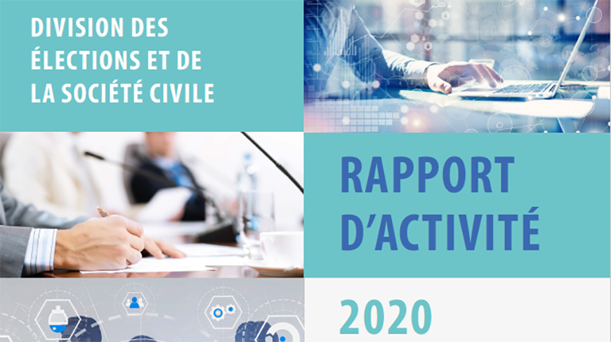 Le rapport d’activité 2020 de la Division des élections et de la société civile présenté et approuvé par le Comité européen sur la démocratie et la gouvernance