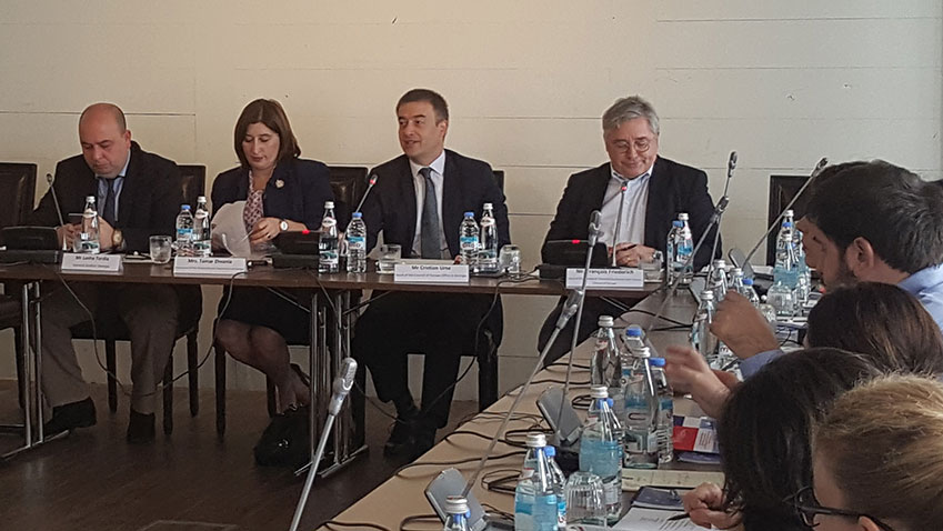 Elections in Georgia: Council of Europe launches a new support project