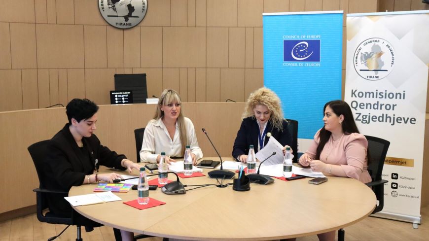 Enhancing transparency of electoral disputes resolution: Roundtable on the Complaint Tracking and Monitoring Platform
