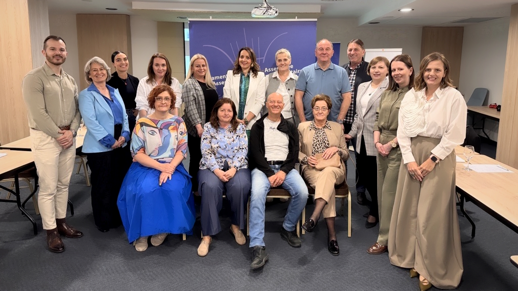 Strengthening transparency and integrity in election-related public procurement in Bosnia and Herzegovina