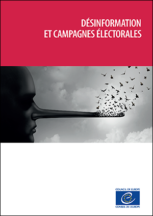 Disinformation and electoral campaigns