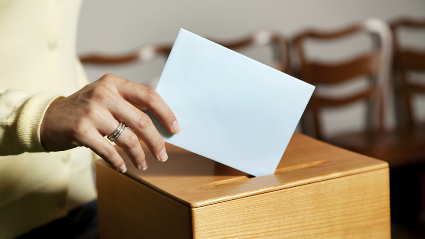 Forthcoming election of GRETA members