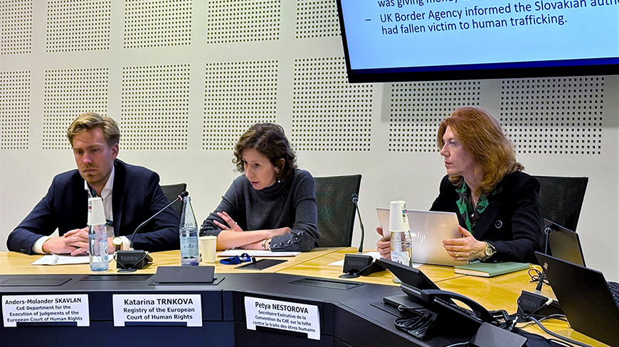 Réseau d'avocats et d'ONG spécialisés dans la lutte contre la traite des êtres humains : webinaire sur la jurisprudence récente de la Cour européenne des droits de l'homme