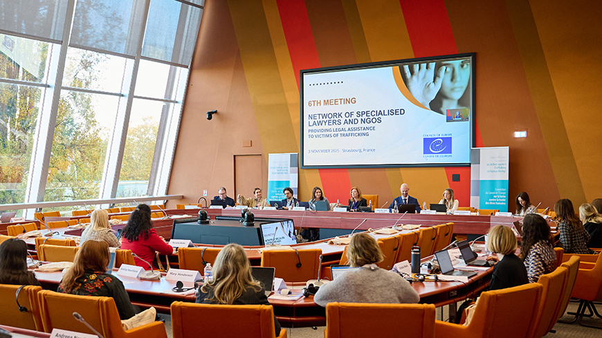 Sixième réunion du Réseau du Conseil de l'Europe regroupant des avocats spécialisés et des ONG fournissant une assistance juridique aux victimes de la traite des êtres humains