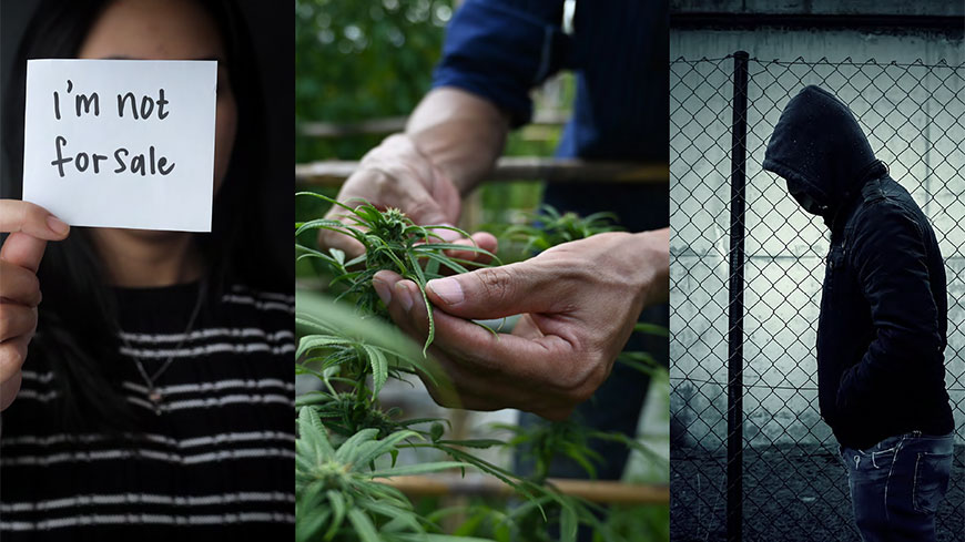 Traite des êtres humains aux fins de criminalité forcée : le Groupe d’experts du Conseil de l’Europe GRETA alerte sur l’augmentation des cas