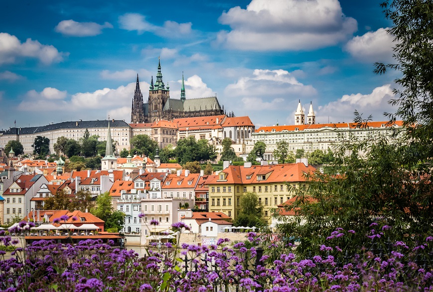 photo: jo Crebbin/Shutterstock