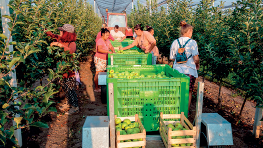 Labour trafficking in Serbia
