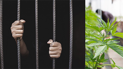 Non-Punishment