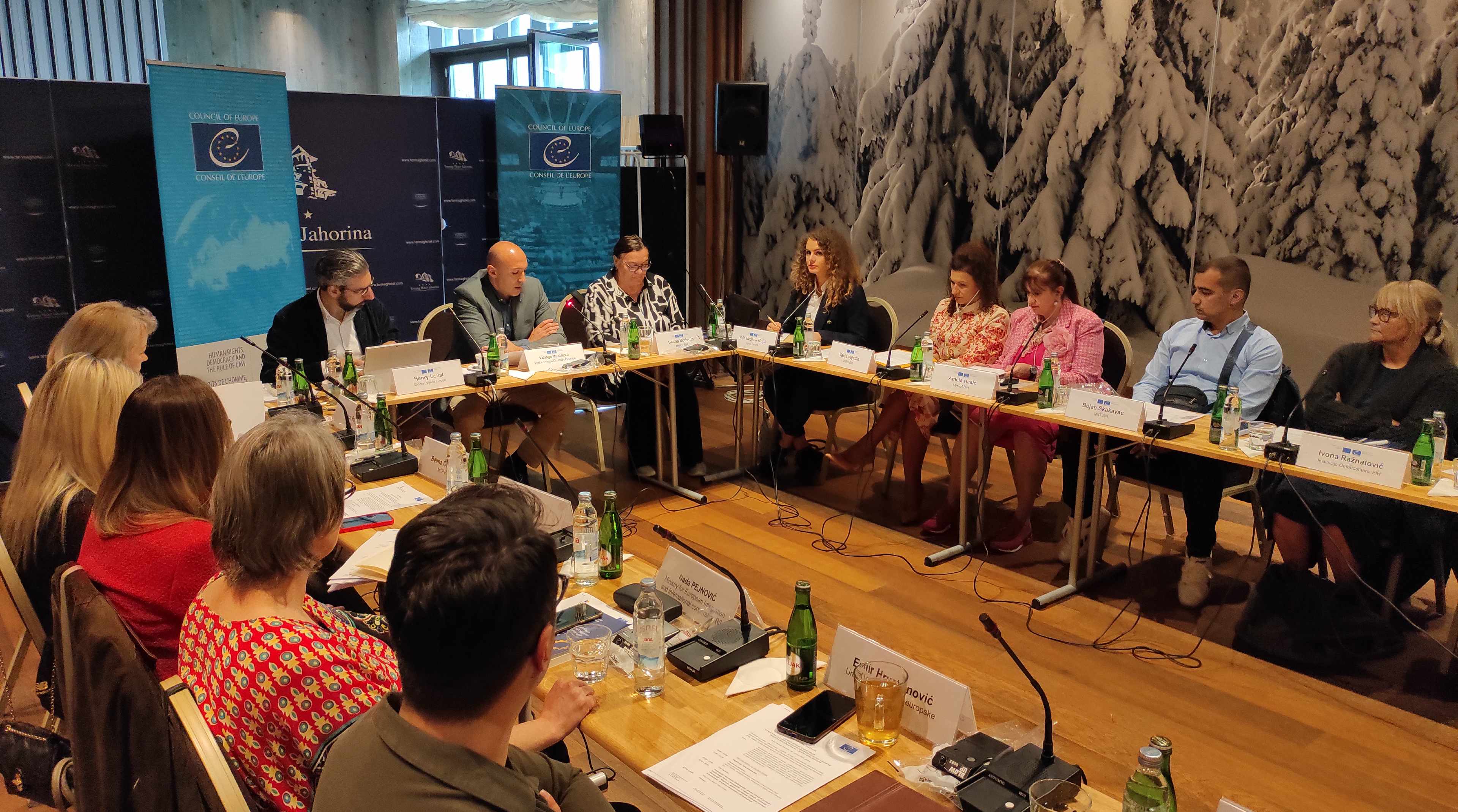 Inaugural meeting of the Working Group on monitoring and reporting on freedom of expression and freedom of information in Bosnia and Herzegovina