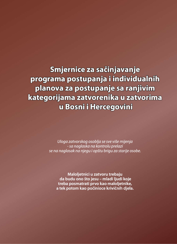 Guidelines for creating of programs of actions and individual plans for dealing with the vulnerable categories of prisoners in prisons in Bosnia and Herzegovina (BCS only)
