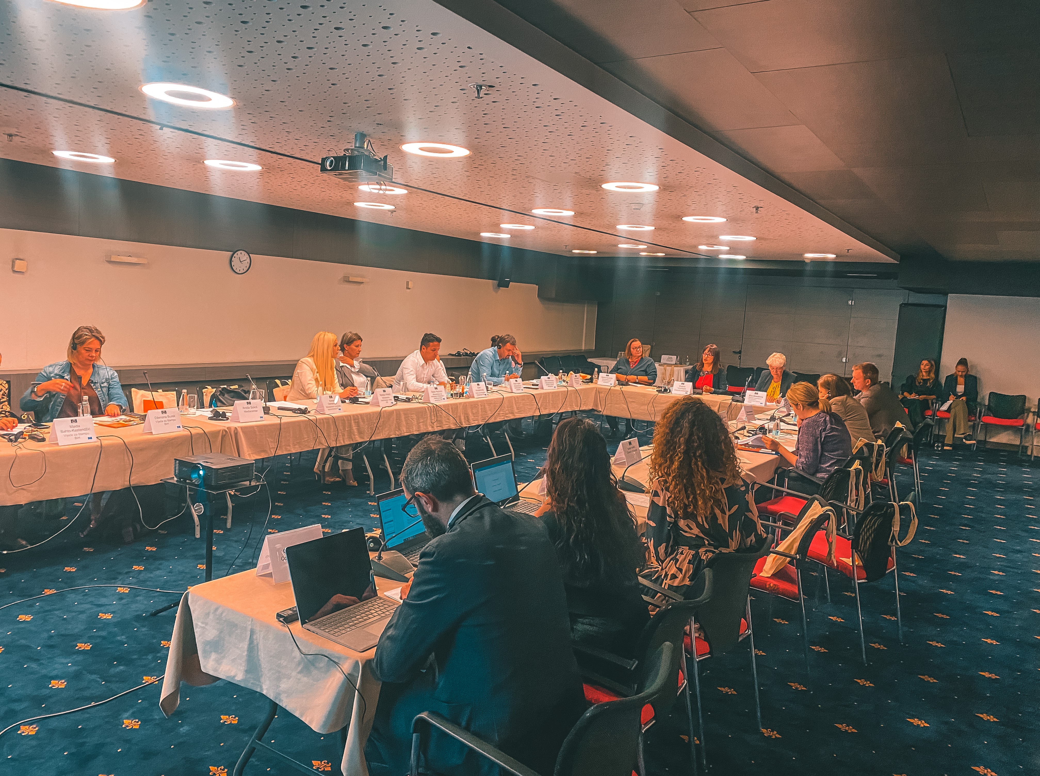 First Steering Committee Meeting of the 'Enhancing institutional capacities on freedom of expression and information in Bosnia and Herzegovina (EFEX)' project
